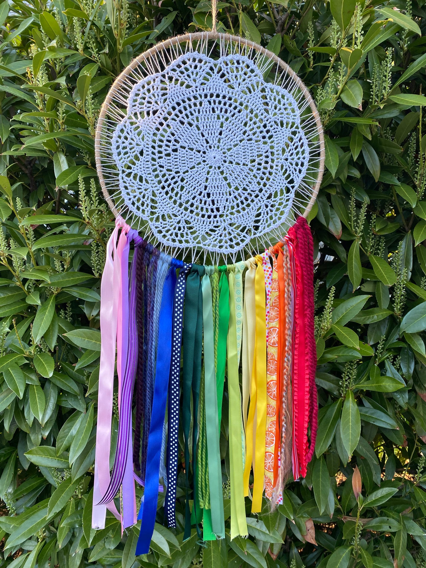 XLarge Rainbow