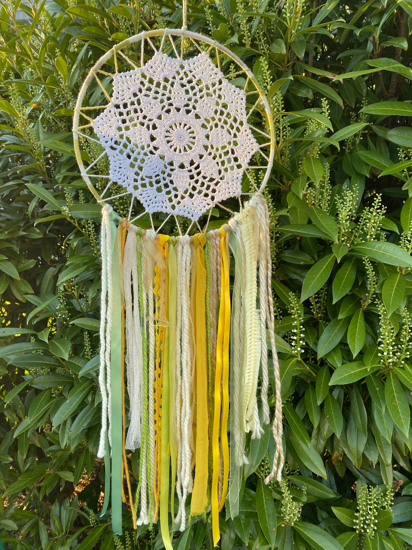 Large Sunflower