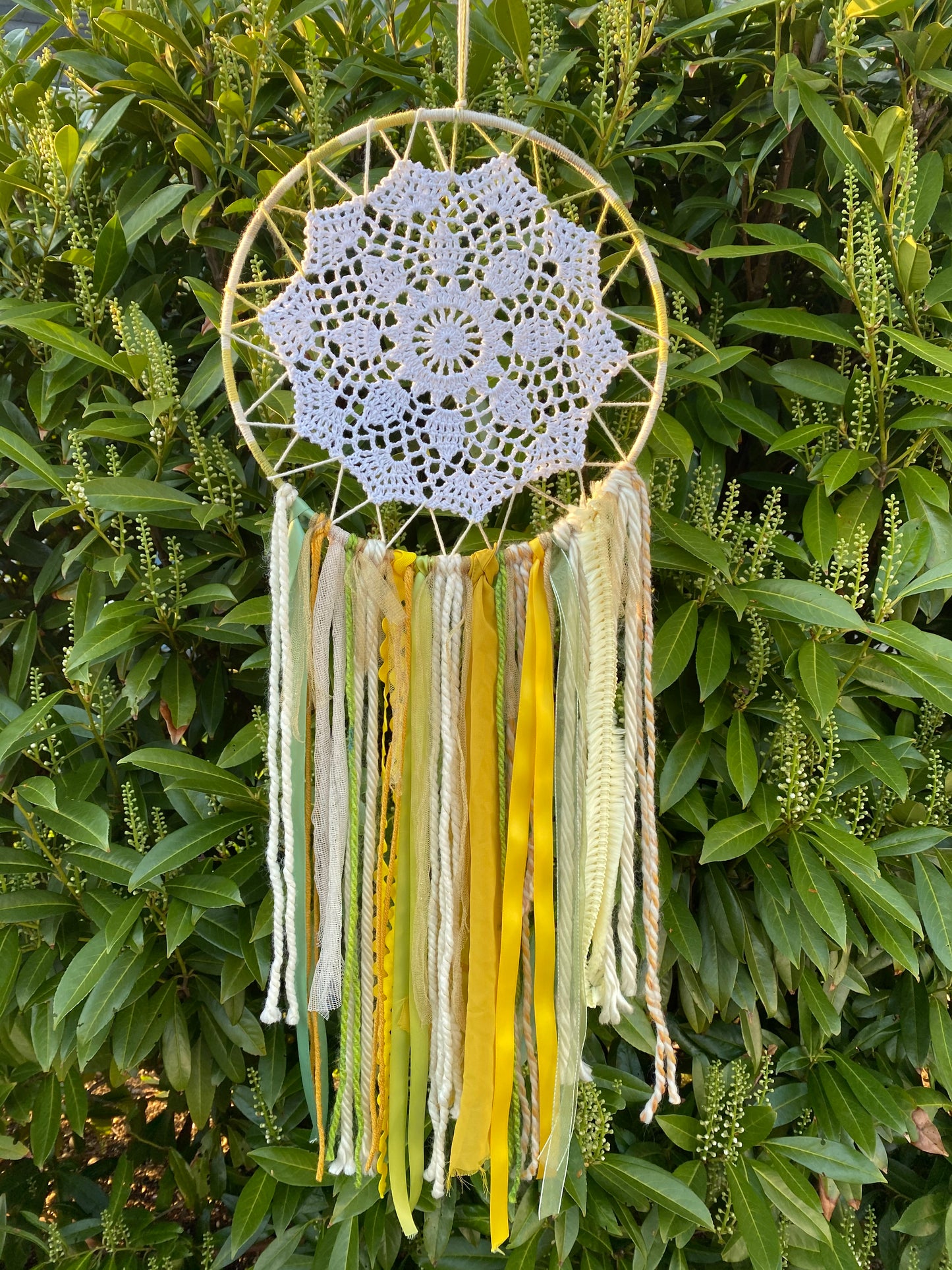 Large Sunflower