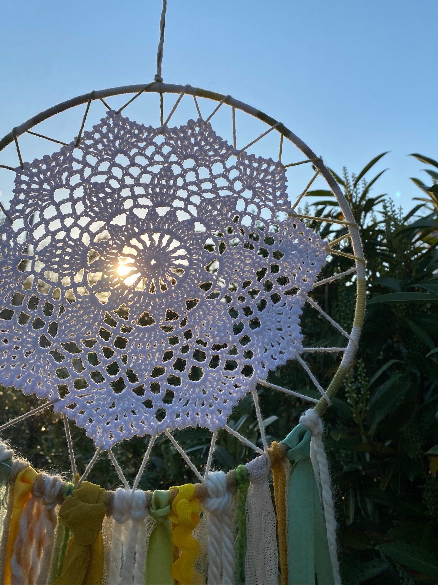 Large Sunflower
