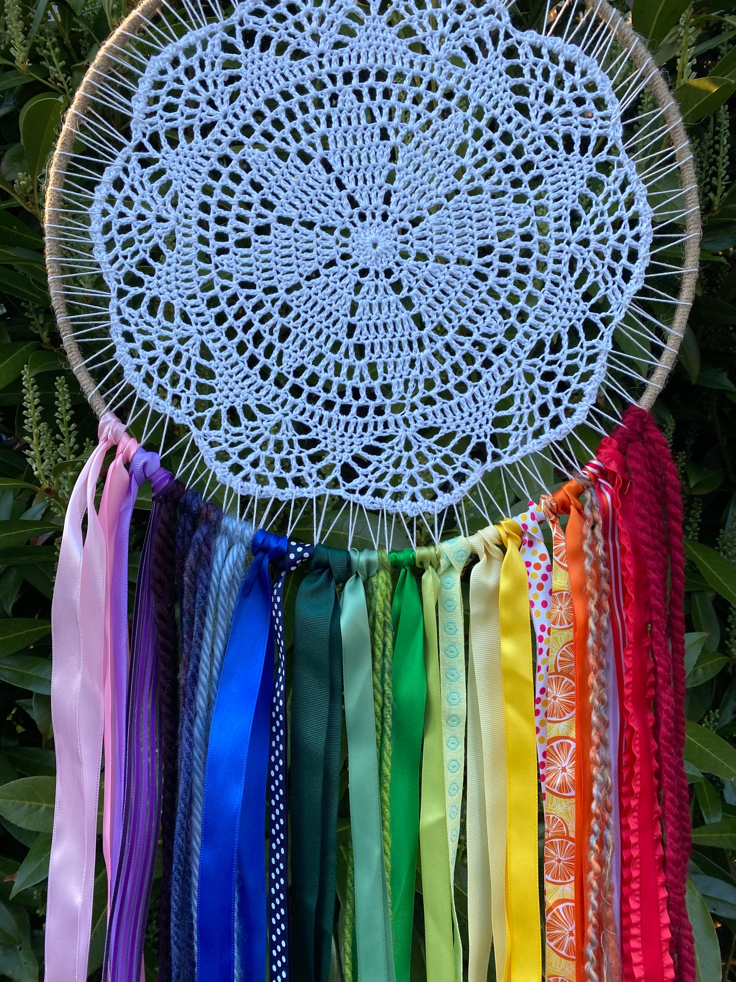 XLarge Rainbow