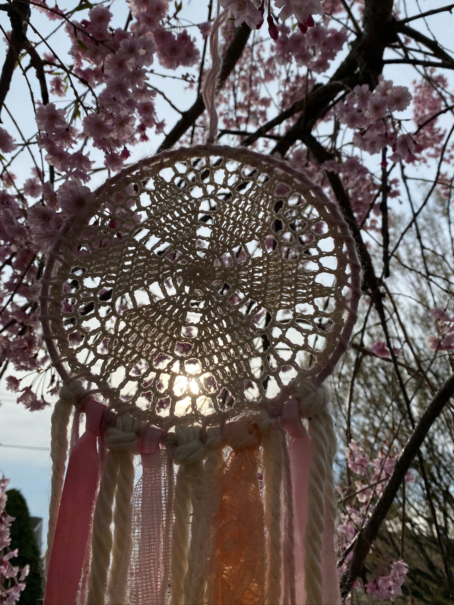 Small Cherry Blossom