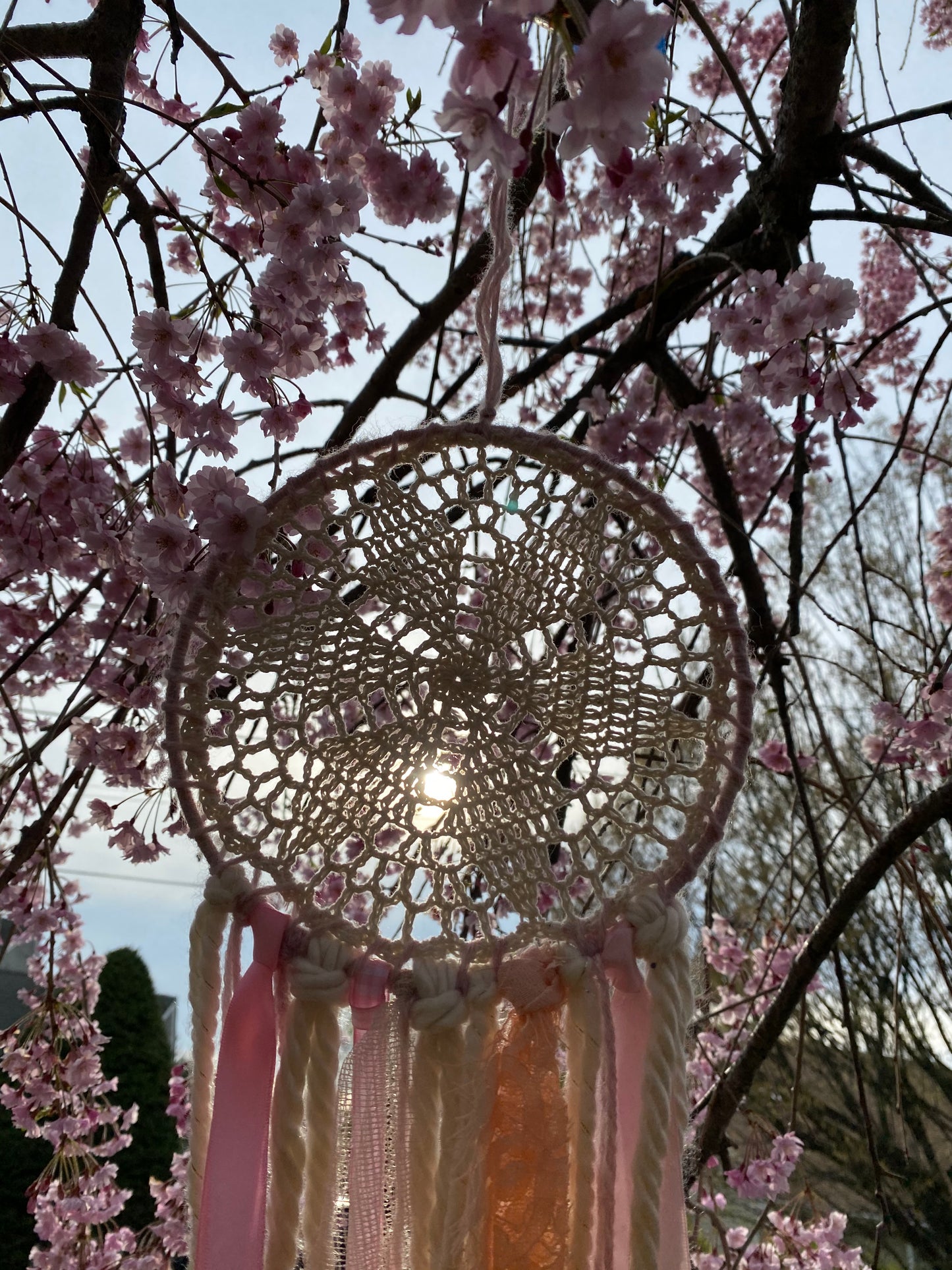 Small Cherry Blossom