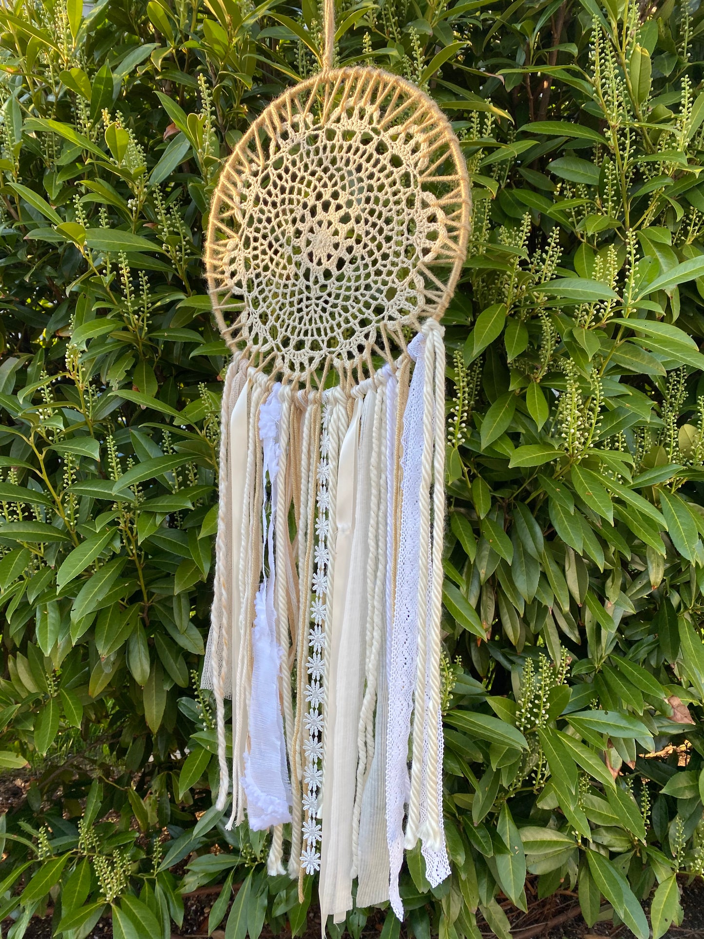 Medium Sandy Summer