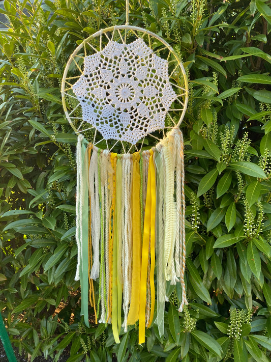 Large Sunflower